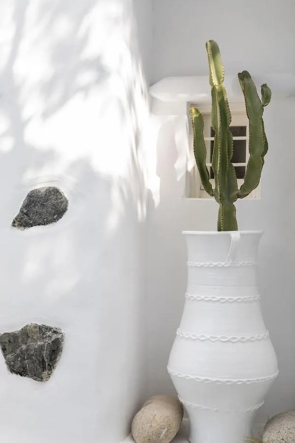 Сasa de vacaciones Villa Cassaris Mykonos Drafaki Grecia